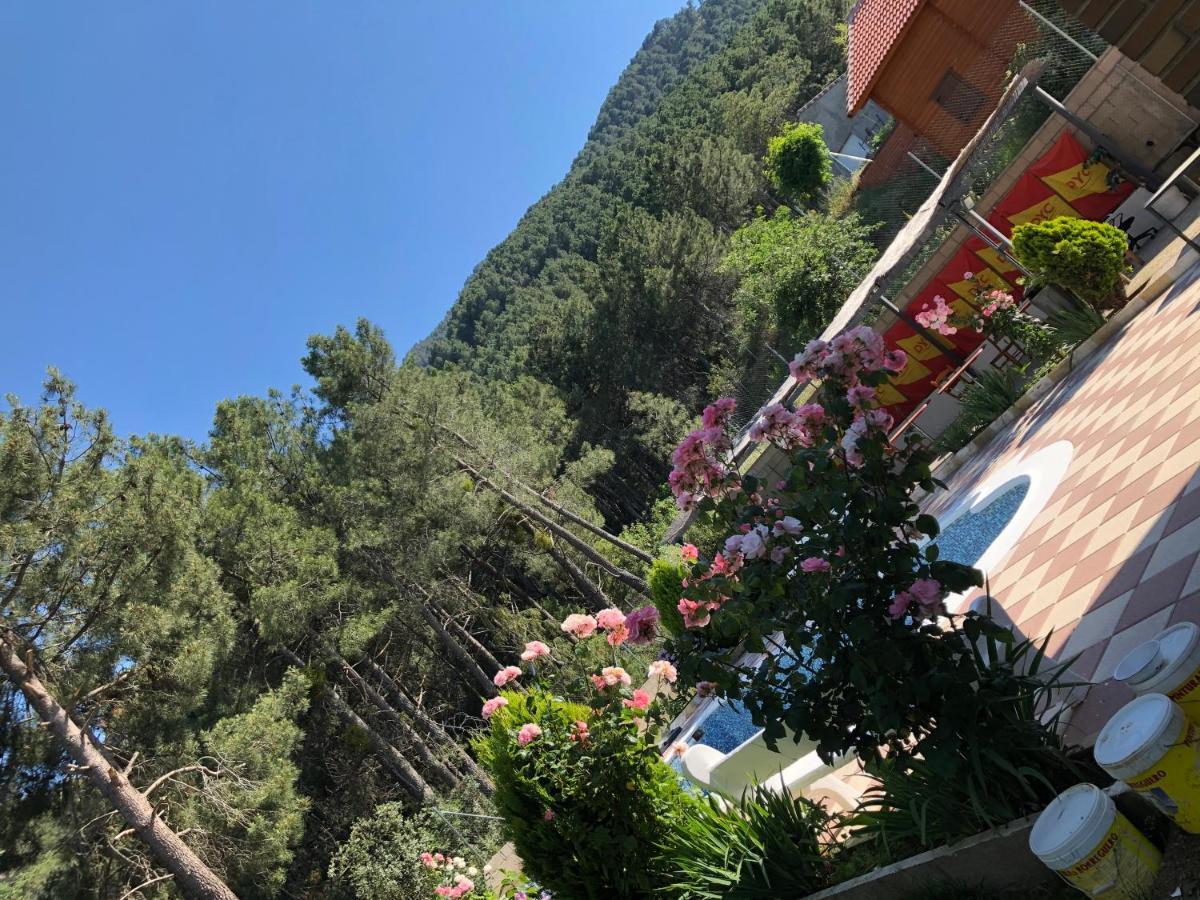 Chalet En El Corazon De La Sierra De Gredos, Pinar De La Atalaya-Tiemblo El Tiemblo Eksteriør billede